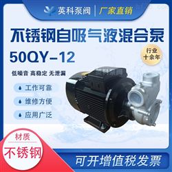 59QY-12自吸式气液混合泵