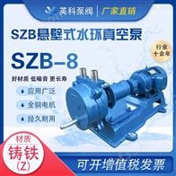 SZB-8水环式真空泵