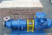高温磁力泵,CQB80-50-250G_1                     