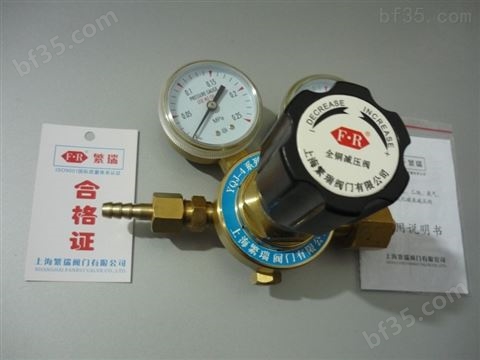 上海繁瑞单级氦气减压阀YQJ-2单级氩气减压器YQJ3单级空气减压表YQJ