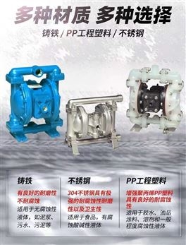 美国SANDPIPER胜佰德气动隔膜泵塑料泵S1F