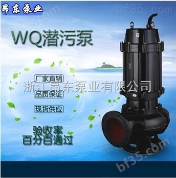 立式潜水泵