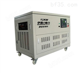 12KW汽油发电机/12KW液化气发电机组