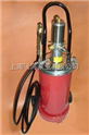 飞河ETP-60电动计量加油泵 电动加油泵总成1                  