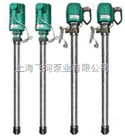 帝龙HD-E2-PVDF-700中国台湾帝龙电动油桶泵|                  