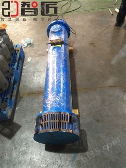天津智匠一体式设计下吸式潜水泵
