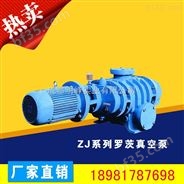 ZJ系列罗茨真空泵，四川ZJ罗茨真空泵生产厂家，明峰