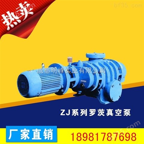 ZJ系列罗茨真空泵，四川ZJ罗茨真空泵生产厂家，明峰