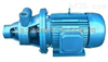 W型旋涡泵 32W-30       