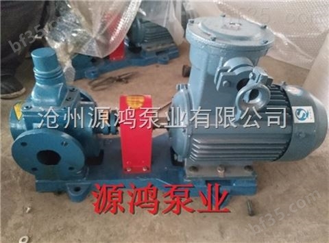 沧州源鸿泵业供应3-0.6圆弧齿轮泵，优质液压齿轮泵批发