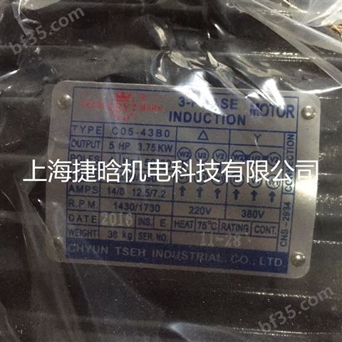 中国台湾群策群力电机3.75KW直插式电动机