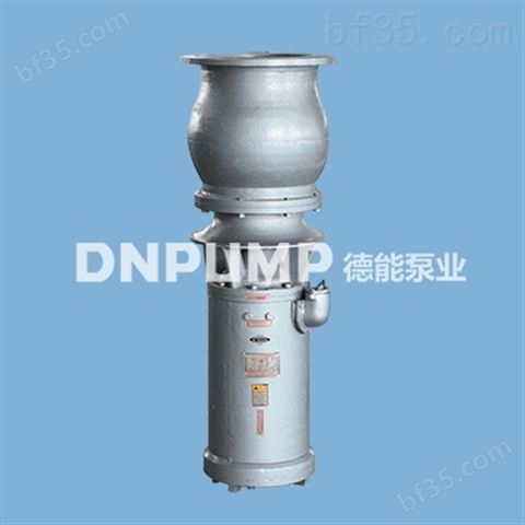 400QSZ简易型轴流泵_非泵站式用泵